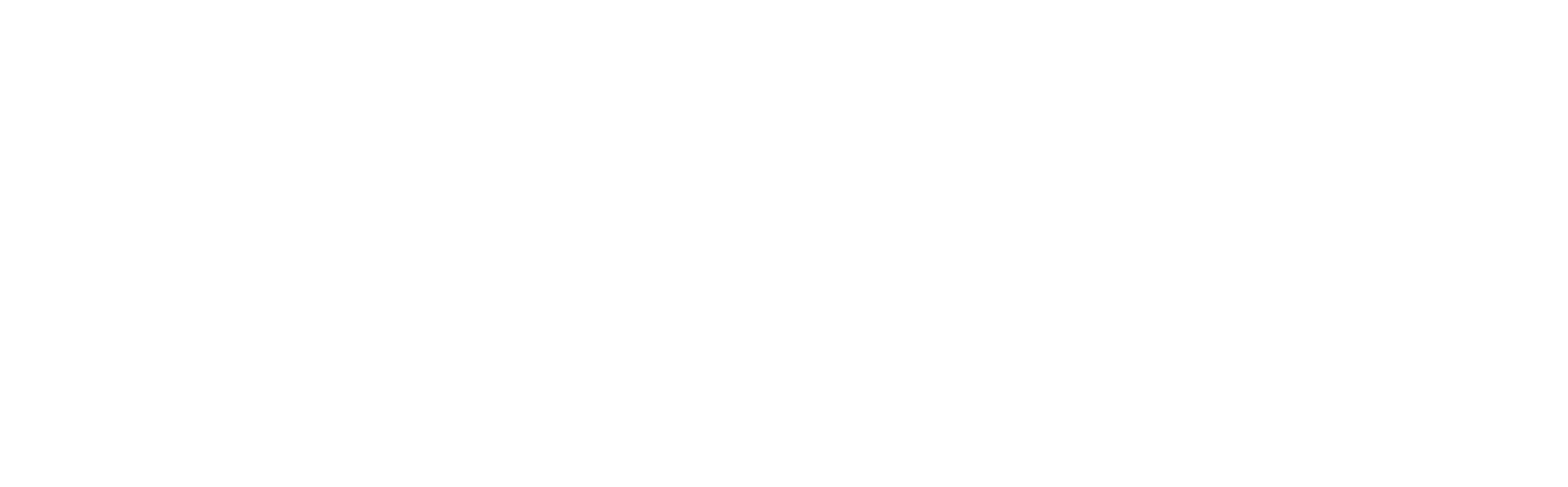 White SEC-T Logo
